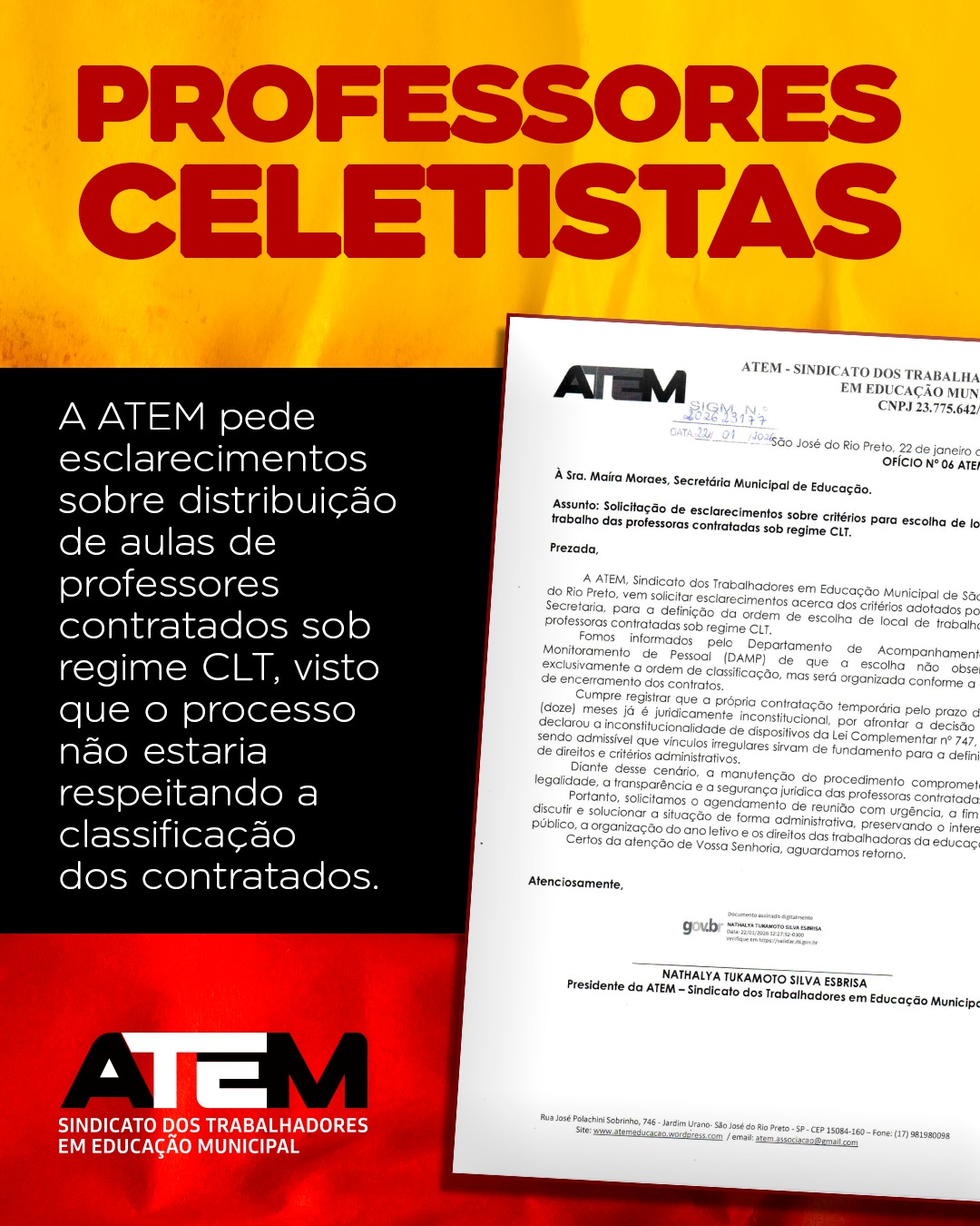 Descrição da Imagem